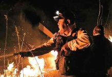 Región de Bolivia declara «alerta roja» ante incendios forestales Región de Bolivia declara la "alerta roja" ante incendios forestales