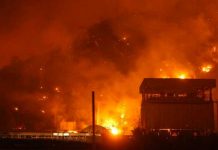 Foto: Subió a 69 el número de muertos por incendios en Argelia / AFP