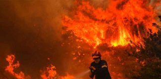 Bomberos sofocan las llamas de los incendio en Atenas