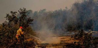 Bombero trabaja para sofocar un incendio forestal