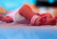 Madre en Brasil estrangula a su recién nacida y le corta brazos y piernas Madre en Brasil estrangula a su recién nacida y le corta brazos y piernas
