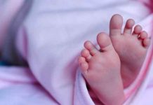 Insólito: Bebé de dos meses sobrevive encima del cadáver de su mamá Un Bebé recién nacido sobrevive sobre el cadáver de su mamá