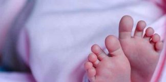 Un Bebé recién nacido sobrevive sobre el cadáver de su mamá