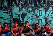 Declaran estado de emergencia por aumento de criminalidad en Belice Aumenta la violencia de pandillas en Bélgica