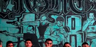 Aumenta la violencia de pandillas en Bélgica