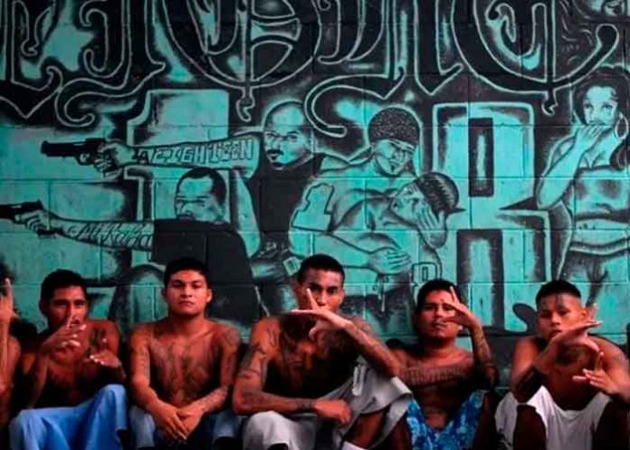 Aumenta la violencia de pandillas en Bélgica