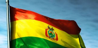 Foto: Gobierno de Nicaragua envía un mensaje al Presidente de Bolivia/ Cortesía.