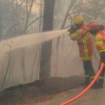 Incendio arrasa por cuatro días un monte de pino en Grecia Bomberos combaten incendios en un monte de pino en Grecia