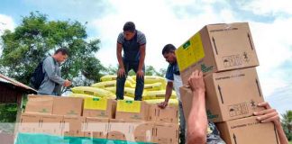 INTA entrega bonos tecnológicos al sector cafetalero