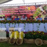 Nicaragua lanza programa de paquetes tecnológicos para mantenimiento de cafetales Lanzan programa de paquetes tecnológicos para mantenimiento de cafetales en Jinotega