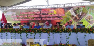 Lanzan programa de paquetes tecnológicos para mantenimiento de cafetales en Jinotega