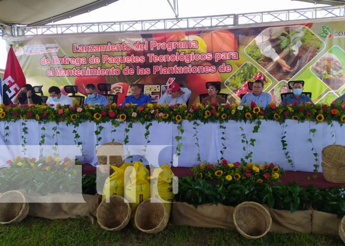 Lanzan programa de paquetes tecnológicos para mantenimiento de cafetales en Jinotega
