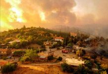 Una fuerte ola de calor y severos incendios golpea el Sur de Europa