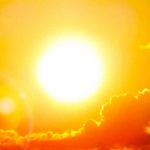 Ola de calor en España provoca plaga de moscas negras