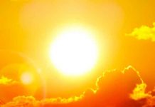 Ola de calor en España provoca plaga de moscas negras