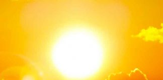 Ola de calor en España provoca plaga de moscas negras