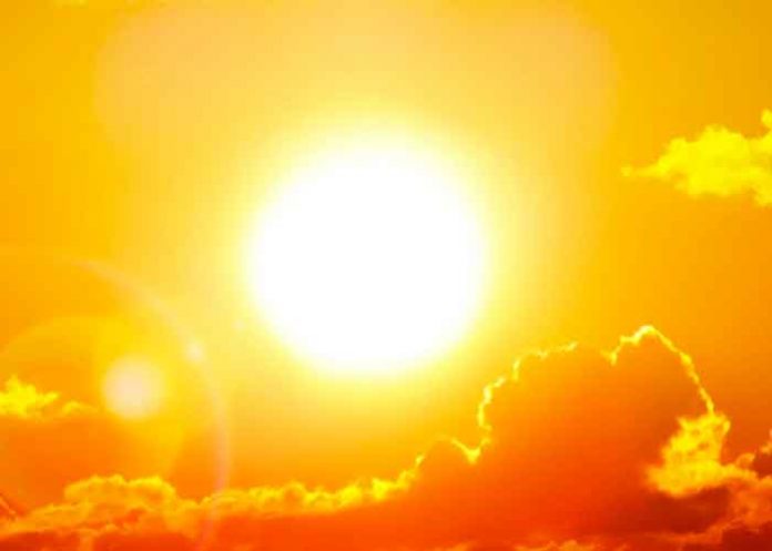 Ola de calor en España provoca plaga de moscas negras