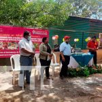 Inauguran centro de inseminación porcina en Bilwi Protagonistas agradecen por este nuevo centro
