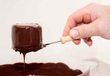 Pretenden cultivar por primera vez chocolate en un laboratorio en Suiza Pretenden cultivar por primera vez chocolate en un laboratorio / Imagen referencial / Pixabay