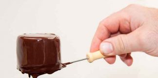 Pretenden cultivar por primera vez chocolate en un laboratorio / Imagen referencial / Pixabay