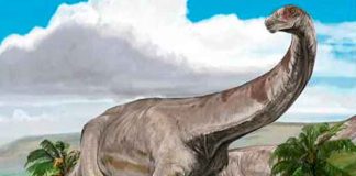 Nuevas especies de Dinosaurios en China