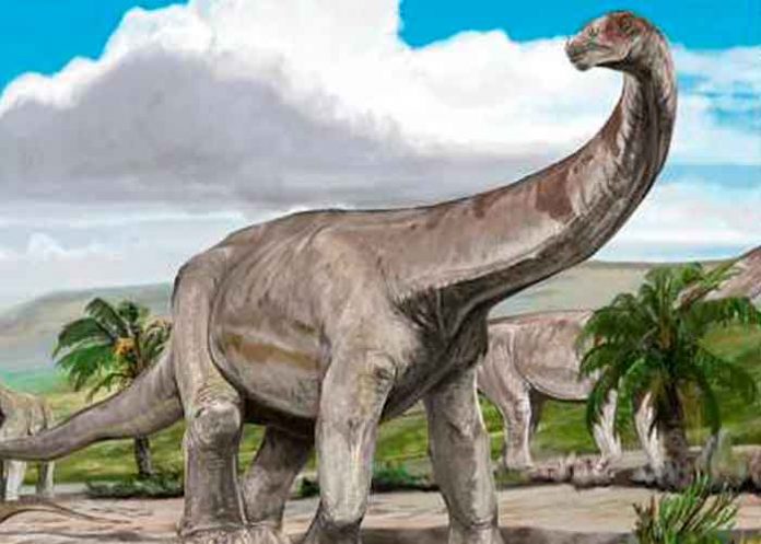 Nuevas especies de Dinosaurios en China