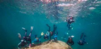 Submarinistas hallan un coral gigante de 400 años en Australia
