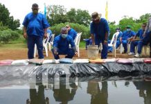 Fomento a la crianza de peces con los reos en Tipitapa