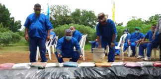 Fomento a la crianza de peces con los reos en Tipitapa
