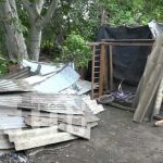 Gobierno envía ayuda a familias afectadas por caída de árbol en Ticuantepe Foto: Gobierno envía ayuda a familias afectadas por caída de árbol en Ticuantepe / TN8