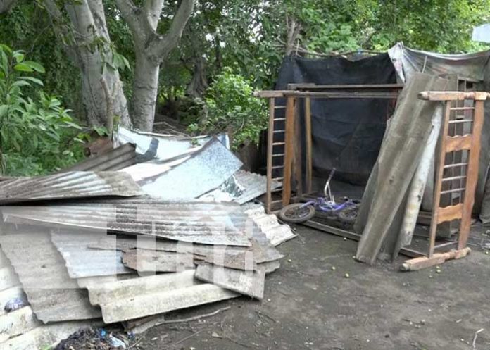 Foto: Gobierno envía ayuda a familias afectadas por caída de árbol en Ticuantepe / TN8