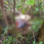 Hallan a mujer decapitada en el norte de Honduras Hallan a mujer decapitada en el norte de Honduras