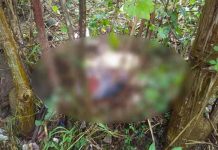 Hallan a mujer decapitada en el norte de Honduras Hallan a mujer decapitada en el norte de Honduras