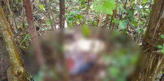 Hallan a mujer decapitada en el norte de Honduras