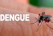 Costa Rica registra 69 por ciento menos casos de dengue