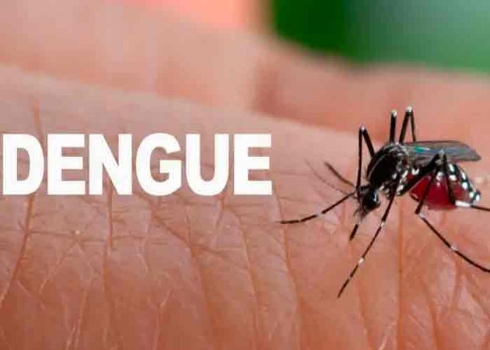 Costa Rica registra 69 por ciento menos casos de dengue
