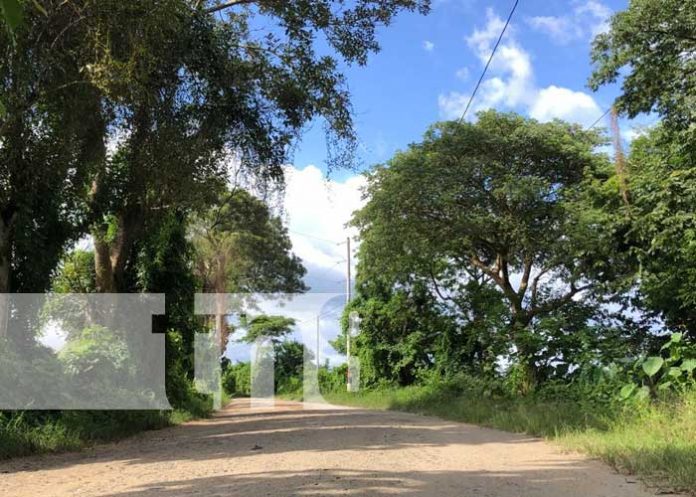 Foto: Joven es víctima de robo cuando regresaba de la universidad en Jalapa / TN8