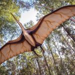 Científicos australianos descubren los restos de un "temible dragón" / FOTO / Twitter