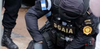 Decomisa en Guatemala 245 kilos de cocaína