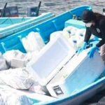 Autoridades de El Salvador incautan droga que se dirigía a México Autoridades de El Salvador incautan droga que se dirigía a México