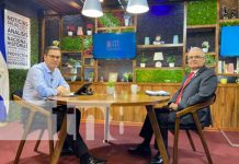 Análisis de la economía de Nicaragua en Estudio TN8