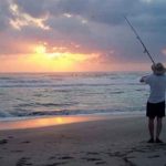 Enigmático animal marino encontrado en EEUU ¿De qué se trata? Enigmático animal marino encontrado en EEUU ¿De qué se trata?