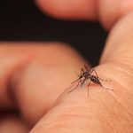 Detectan en España nuevo caso de virus capaz de paralizar a los humanos