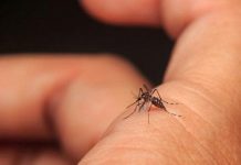 Detectan en España nuevo caso de virus capaz de paralizar a los humanos