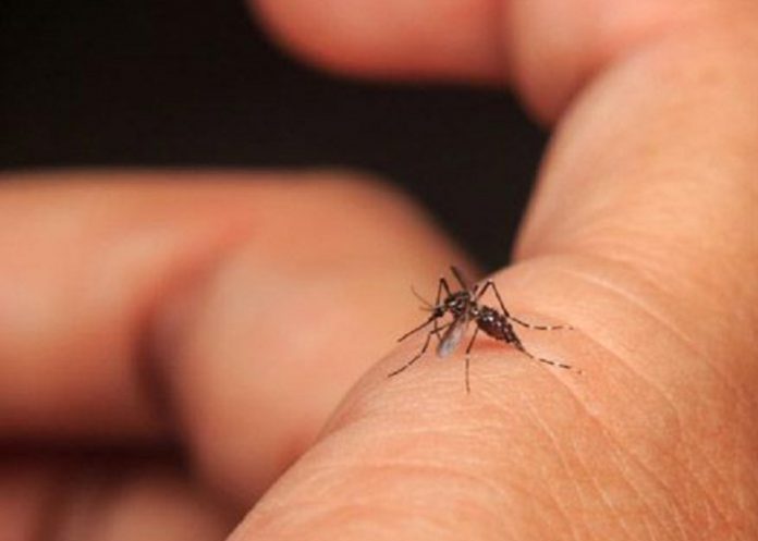 Detectan en España nuevo caso de virus capaz de paralizar a los humanos