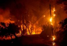 Primeros incendios en España tras intensa ola de calor