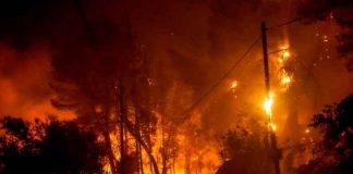Primeros incendios en España tras intensa ola de calor