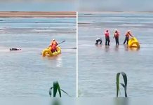 Pensaron que estaba muerto, pero solo «se echaba un pelón» en medio del río Pensaron que el hombre estaba muerto, pero solo "se echaba un pelón" en medio del río