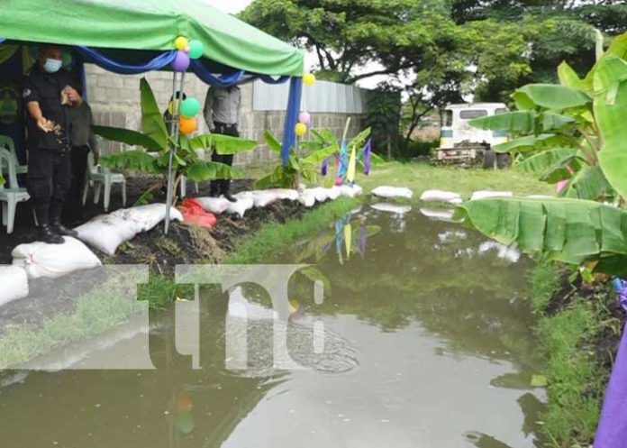 Estelí cuenta con tres nuevos estanques para peces