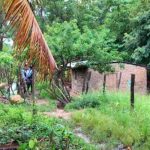 Masacre en Comayagua, Honduras deja a cinco personas muertas Masacre en Comayagua, Honduras deja a cinco personas muertas